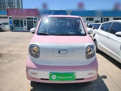 FAW Besturn Xiaoma 222km Dynamic Edition - ფოტო 3