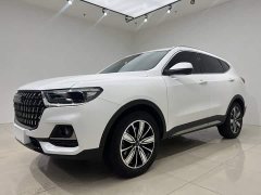 Haval H6 National Trend Edition 1.5T Automatic Champion Version - ფოტო 3
