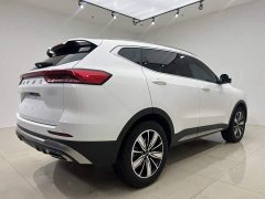 Haval H6 National Trend Edition 1.5T Automatic Champion Version - ფოტო 8