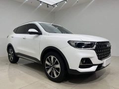Haval H6 National Trend Edition 1.5T Automatic Champion Version - ფოტო 9