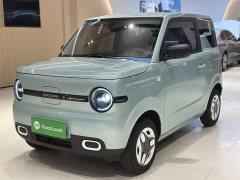 Geely Panda Mini 210km Vitality Edition - ფოტო 1