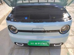 Geely Panda Mini 210km Vitality Edition - ფოტო 11