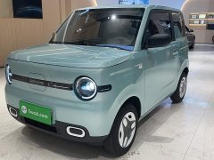 Geely Panda Mini 210km Vitality Edition - ფოტო 20