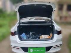 BYD Qin Plus DM-i 55KM Flagship - ფოტო 10
