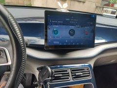 BYD Qin Plus DM-i 55KM Flagship - ფოტო 6