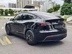 Tesla Model Y Rear-Wheel Drive - ფოტო 10