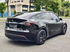 Tesla Model Y Rear-Wheel Drive - ფოტო 12