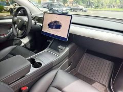 Tesla Model Y Rear-Wheel Drive - ფოტო 18