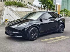 Tesla Model Y Rear-Wheel Drive - ფოტო 3
