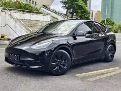 Tesla Model Y Rear-Wheel Drive - ფოტო 5