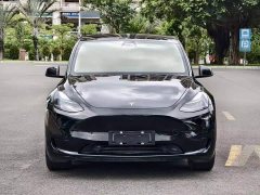 Tesla Model Y Rear-Wheel Drive - ფოტო 6