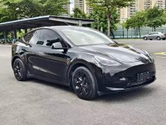 Tesla Model Y Rear-Wheel Drive - ფოტო 7