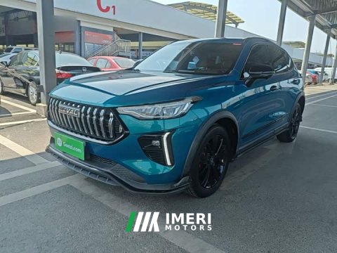2021 Haval Chitu Jiqing Edition 1.5T Golden Rabbit - ავტომობილი ჩინეთიდან