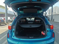 Haval Chitu Jiqing Edition 1.5T Golden Rabbit - ფოტო 19
