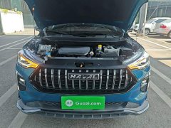 Haval Chitu Jiqing Edition 1.5T Golden Rabbit - ფოტო 20