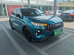 Haval Chitu Jiqing Edition 1.5T Golden Rabbit - ფოტო 4