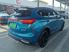 Haval Chitu Jiqing Edition 1.5T Golden Rabbit - ფოტო 7