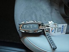 Haval Chitu Jiqing Edition 1.5T Golden Rabbit - ფოტო 9
