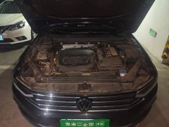Volkswagen Magotan 2021 330TSI DSG 30th Anniversary Edition - ფოტო 11