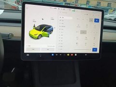 Tesla Model Y Long Range All-Wheel Drive 3D7 - ფოტო 13