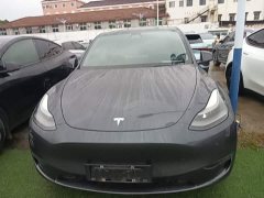 Tesla Model Y Long Range All-Wheel Drive 3D7 - ფოტო 3