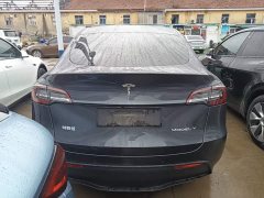 Tesla Model Y Long Range All-Wheel Drive 3D7 - ფოტო 6