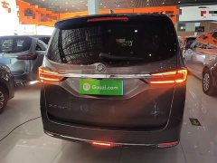 Buick GL8 Land Executive Cabin 652T Luxury - ფოტო 6