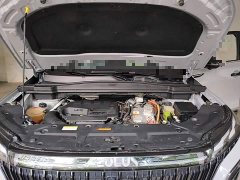Dongfeng Haoji Mach Twin-Engine 1.5T MHD Dream Edition - ფოტო 11