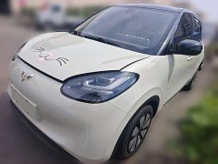 Wuling Binguo 203km Comfort Edition - ფოტო 1