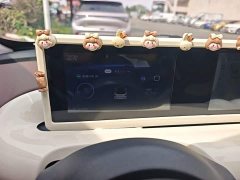Wuling Binguo 203km Comfort Edition - ფოტო 18