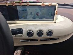 Wuling Binguo 203km Comfort Edition - ფოტო 20