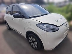 Wuling Binguo 203km Comfort Edition - ფოტო 7