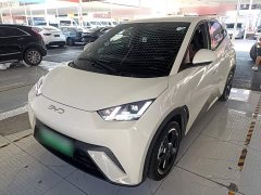 BYD Seagull Glory Edition 305km Freedom Version - ფოტო 1