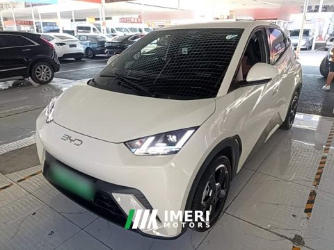 2024 BYD Seagull Glory Edition 305km Freedom Version - ავტომობილი ჩინეთიდან