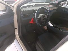 BYD Seagull Glory Edition 305km Freedom Version - ფოტო 12
