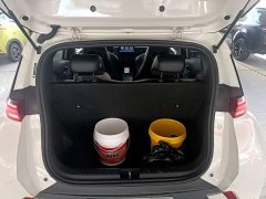 BYD Seagull Glory Edition 305km Freedom Version - ფოტო 15