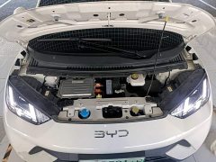 BYD Seagull Glory Edition 305km Freedom Version - ფოტო 16