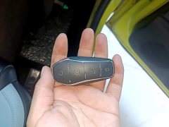 BYD Seagull Glory Edition 305km Freedom Version - ფოტო 17