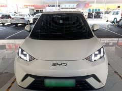 BYD Seagull Glory Edition 305km Freedom Version - ფოტო 3