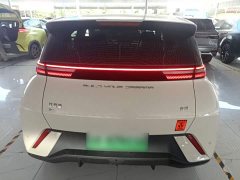 BYD Seagull Glory Edition 305km Freedom Version - ფოტო 4
