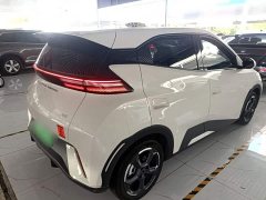 BYD Seagull Glory Edition 305km Freedom Version - ფოტო 5