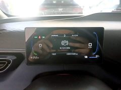 BYD Seagull Glory Edition 305km Freedom Version - ფოტო 8