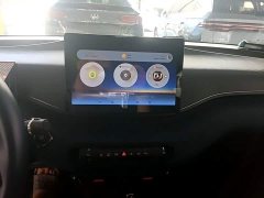 BYD Seagull Glory Edition 305km Freedom Version - ფოტო 9