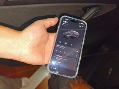 Tesla Model Y Standard Range RWD - ფოტო 12