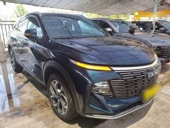 Haval Divine Beast 1.5T Smart Enjoy Edition - ფოტო 4