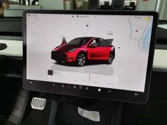 Tesla Model Y Long Range All-Wheel Drive - ფოტო 11