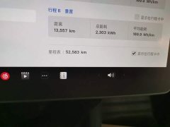 Tesla Model Y Long Range All-Wheel Drive - ფოტო 12
