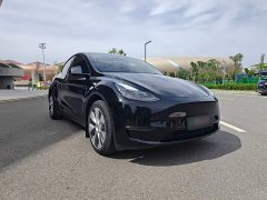 Tesla Model Y Long Range All-Wheel Drive - ფოტო 3