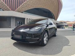 Tesla Model Y Long Range All-Wheel Drive - ფოტო 5