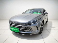 BYD Destroyer 05 Champion Edition DM-i 120KM Luxury - ფოტო 1